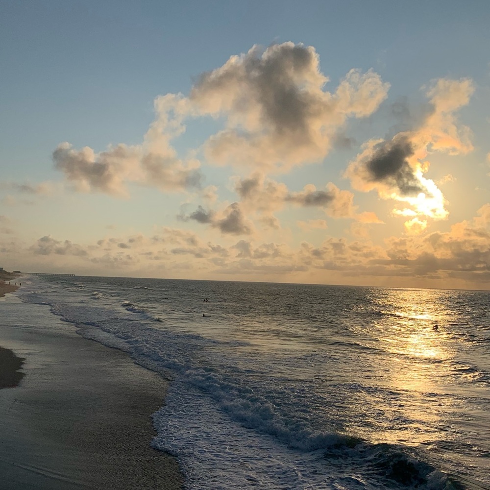 Meet your Posher, Lucy linh